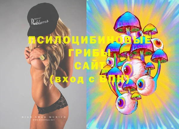 mdma Бородино