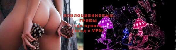 соль курить ск Бронницы