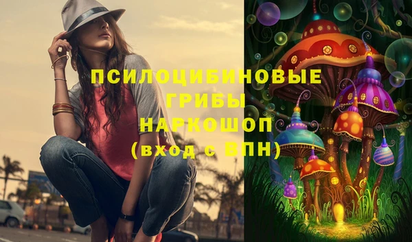 mdma Бородино
