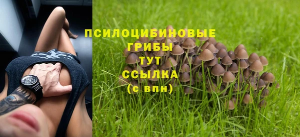 первитин Бугульма