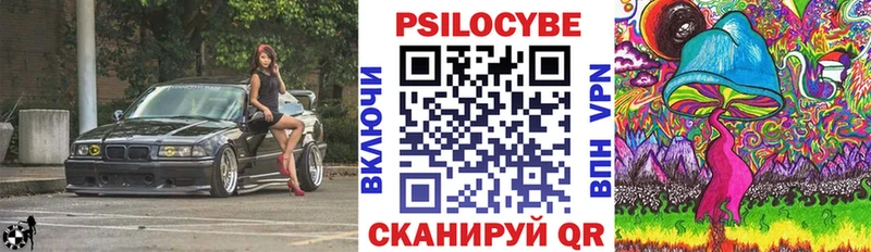 Галлюциногенные грибы MAGIC MUSHROOMS  MEGA маркетплейс  Иркутск 